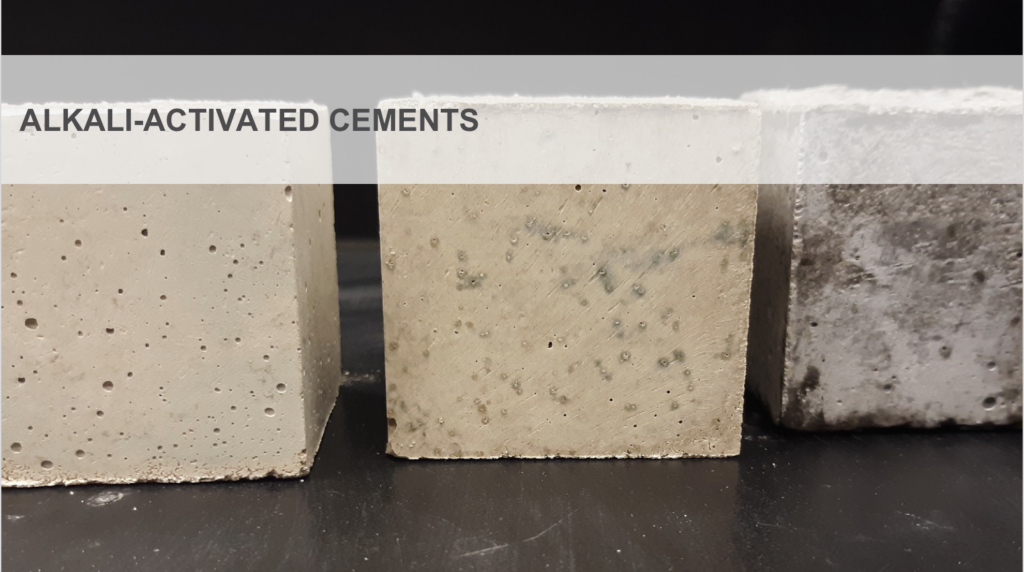 Mycelium Cardboard Insulation – Critical Concrete