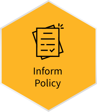 Inform Policy icon selected