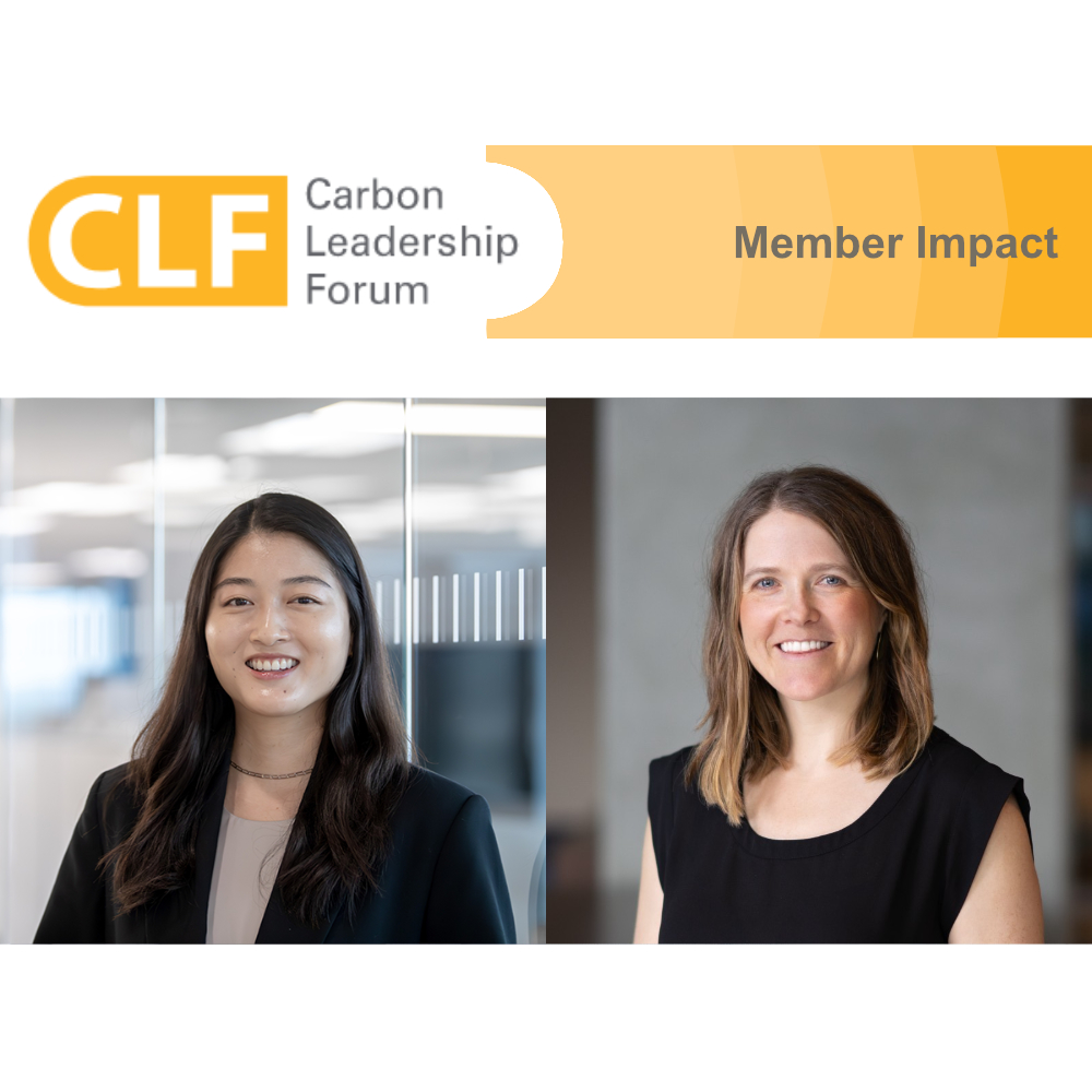 October 2024 member impact