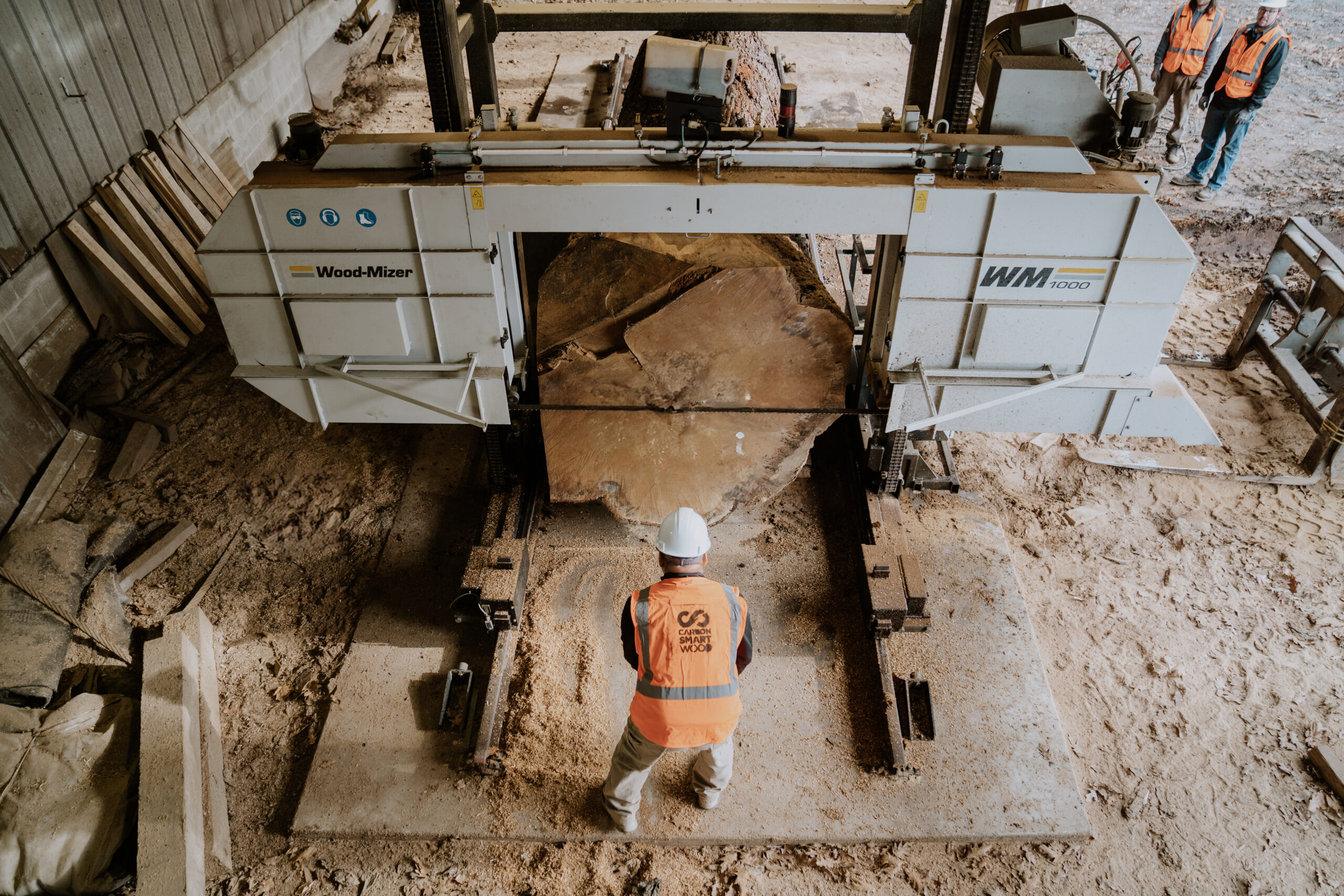 milling a huge tree