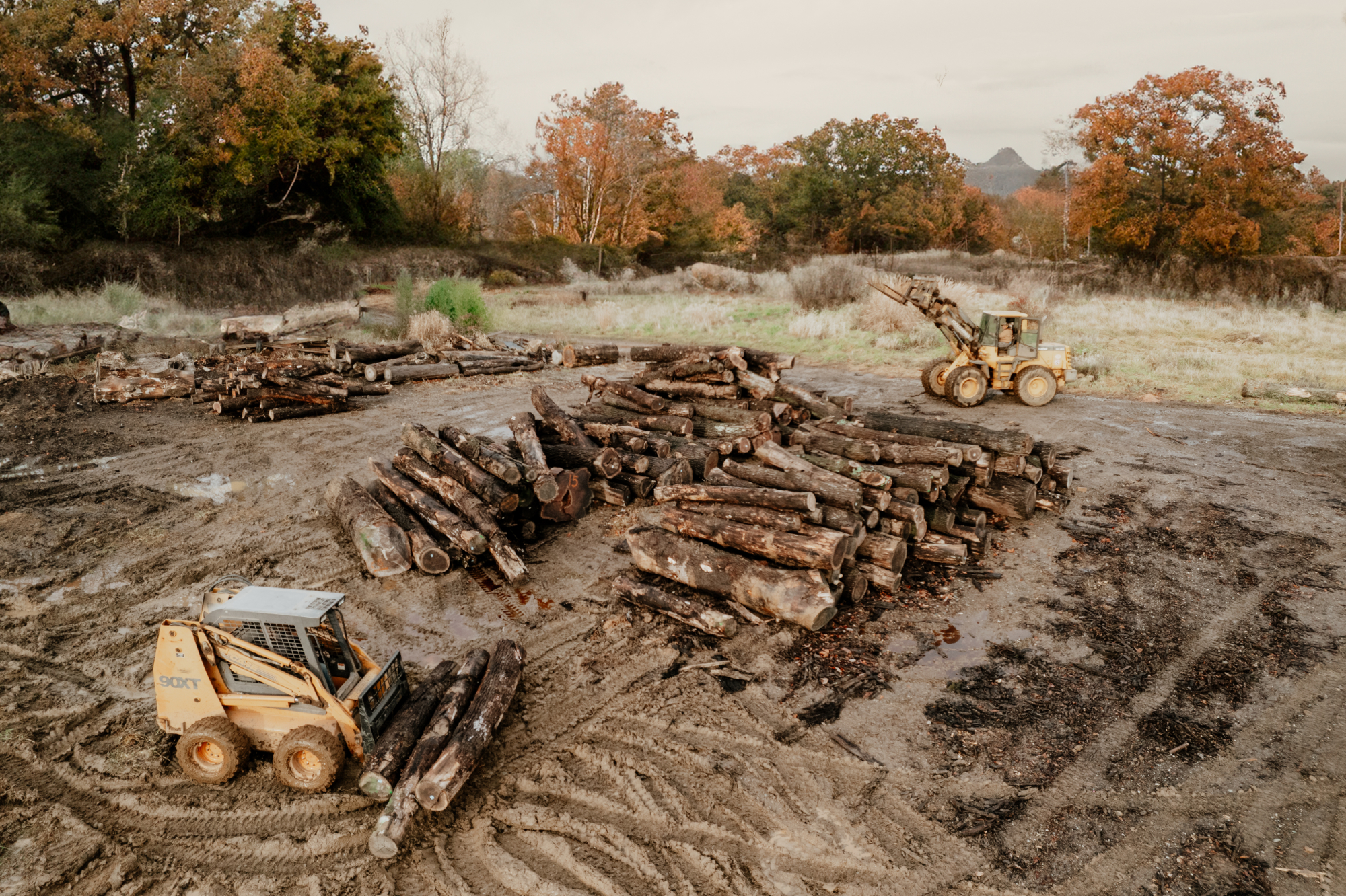 backhoes pilling logs in a yard