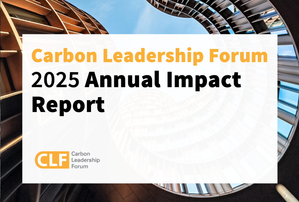 2025 Annual Impact Report