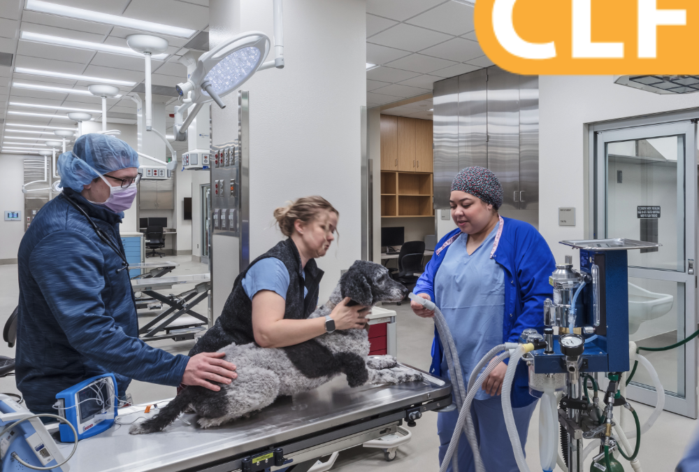 Labs2Zero: A Path to Decarbonize and Improve Research Facilities