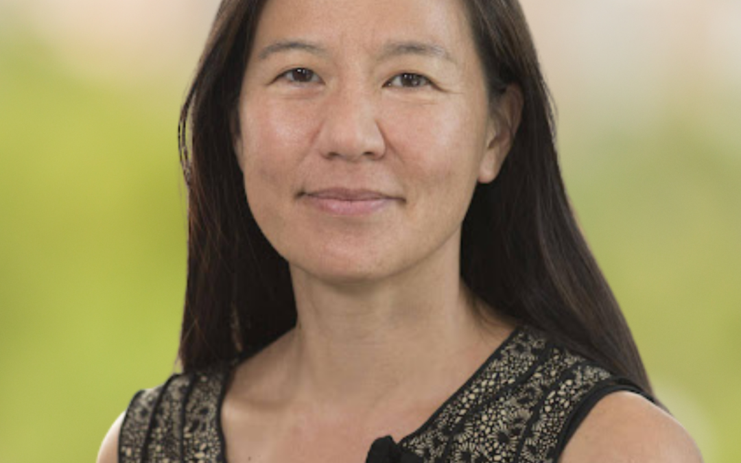 Introducing Frances Yang